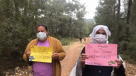 İkizköylüler orman katliamını durdurdu 