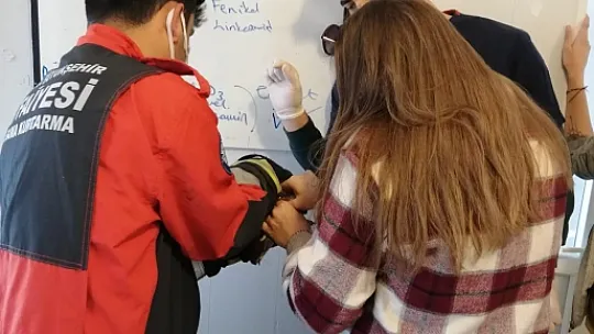 Ağaçta takılı kalan kuşu İtfaiye kurtardı 