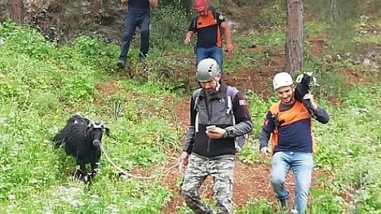 1 keçi ve 2 oğlağı MAG AMESAR ekibi kurtardı 