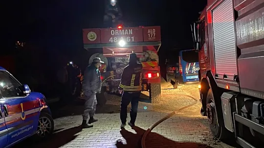 Milas'ta iki farklı nokta da yangın