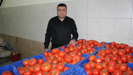 Toptancı halinde faaliyetler devam ediyor 