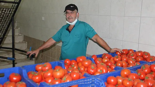 Toptancı halinde faaliyetler devam ediyor 