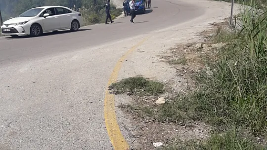 Seydikemerde zeytinlik alan kül oldu