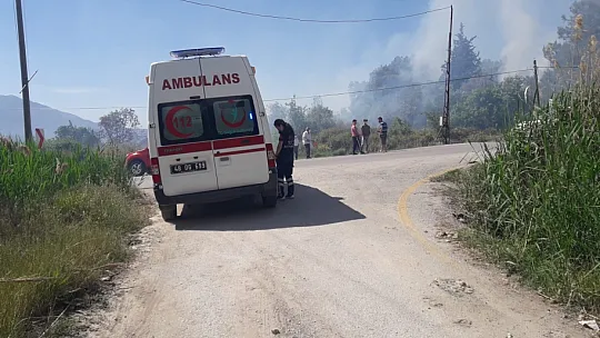 Seydikemerde zeytinlik alan kül oldu