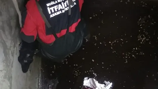 Kuyuya düşen keçiyi itfaiye kurtardı