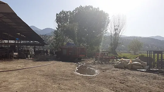 Samanlık deposunda yangın 