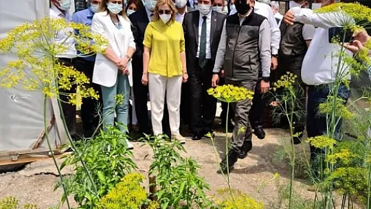 Orman Bakanı Bekir Pakdemirli Ekolojik Köy Projesi'ne katıldı