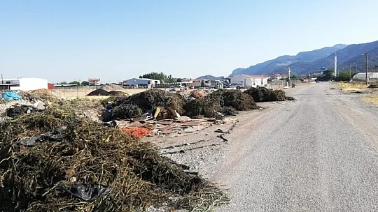 CHP'li Evren Tezcan, bu görüntüler Ortaca'mıza yakışmıyor