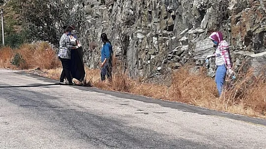AK Parti Kadın Kolları'ndan çevre duyarlılığı