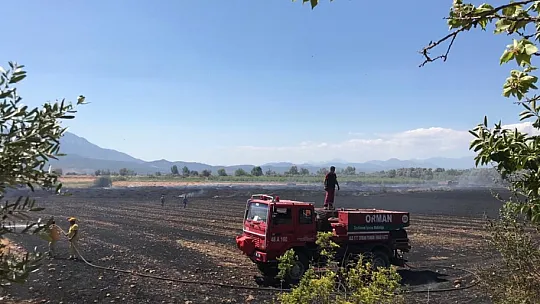 Seydikemerde'ki anız yangınında koyunlarda telef oldu