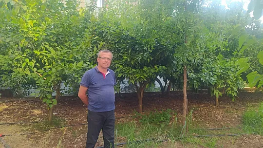 Fethiye Körfezi'nde görülen Akdeniz Foku ilgi çekti