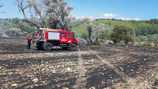 Seydikemer'deki yangında hasar büyük