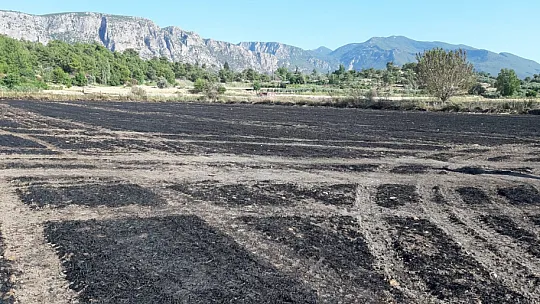 Seydikemer'deki yangında hasar büyük