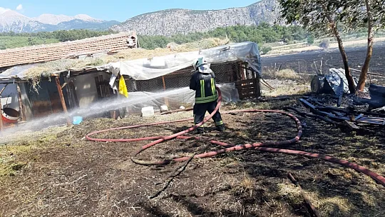 Seydikemer'deki yangında hasar büyük