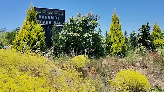 Dünya mutfağı Fethiye'de