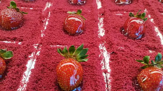 Tatlıköy Durağı 2. şubesiyle hizmet vermeye devam ediyor