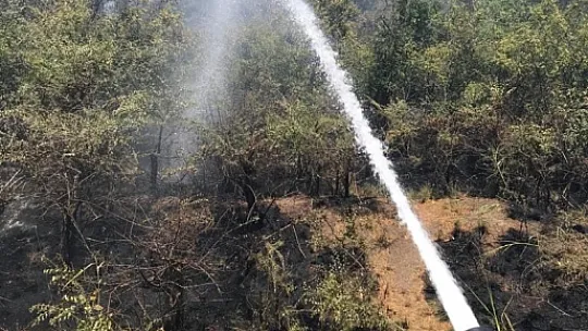 Dalaman'da cezaevi çevresi ve TİGEM arazilerinde yangın