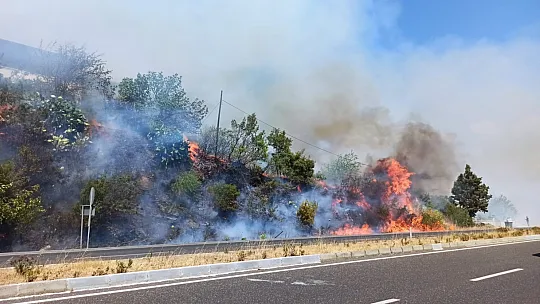 Karayolunda çıkan yangın ormana sıçradı