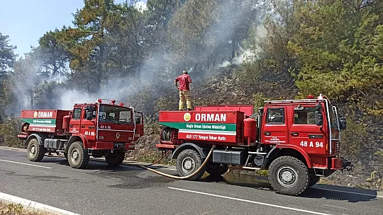 Karayolunda çıkan yangın ormana sıçradı