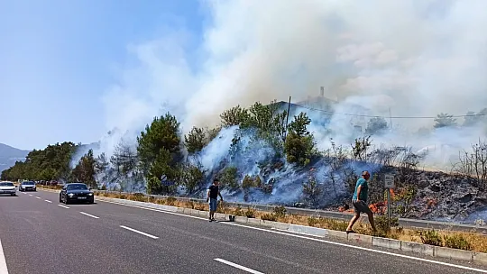 Karayolunda çıkan yangın ormana sıçradı