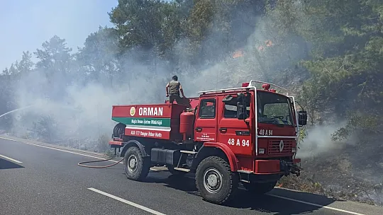 Karayolunda çıkan yangın ormana sıçradı