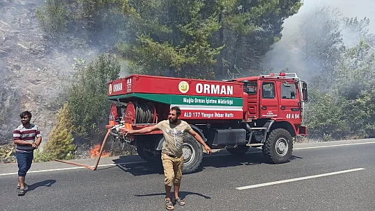Karayolunda çıkan yangın ormana sıçradı