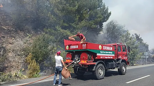 Karayolunda çıkan yangın ormana sıçradı