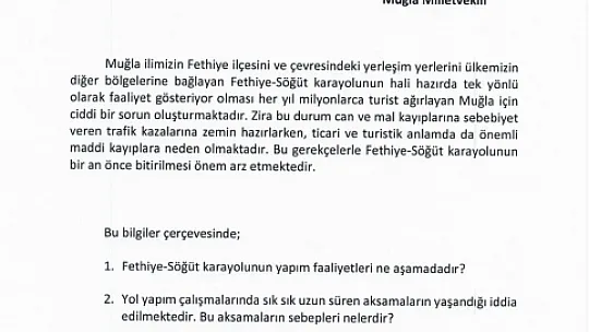 Milletvekili Ergun'dan Fethiye-Söğüt Karayolu Hakkında Soru Önergesi