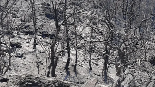 Ortaca'dan, Köyceğiz'e Destek