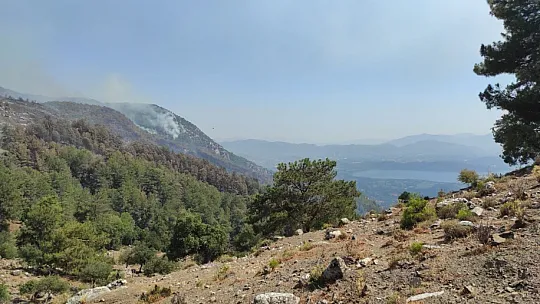 Köyceğiz orman yangını devam ediyor