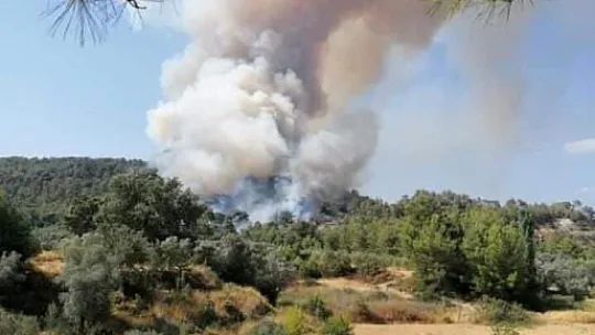 Seydikemer'de orman yangını