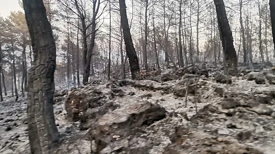 Seydikemer yangını kontrol altına alındı