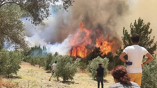 Yangın devam ediyor!