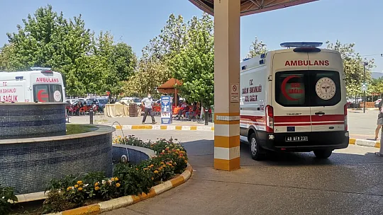Seydikemer'deki yangında can pazarı
