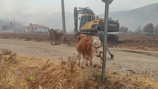 Yangın devam ediyor!