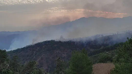 'Mor Bereli' kızlardan örnek davranış