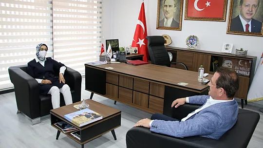 AK Parti MKYK Üyesi Lütfiye Çam, yangınlarda zarar gören bölgelerde incelemelerde bulundu