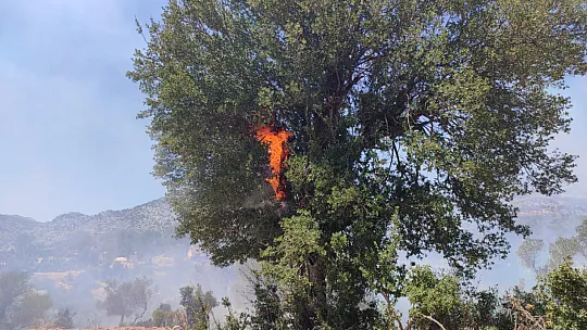 Seydikemer'deki yangınlar kontrol altına alındı