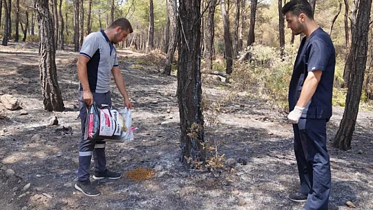 Seydikemer Belediyesi yangın bölgesindeki can dostlar için seferber oldu