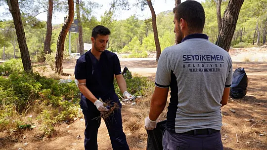 Seydikemer Belediyesi yangın bölgesindeki can dostlar için seferber oldu