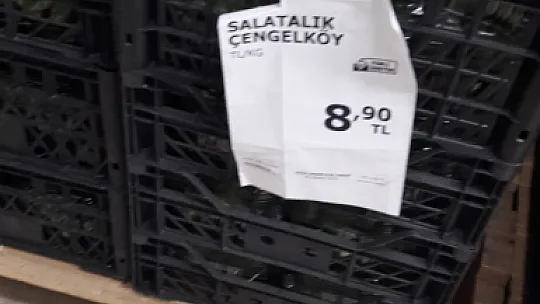 Çiftçiler isyanda Salatalık başka şehirde 2.50, Fethiye'de 80 kuruş