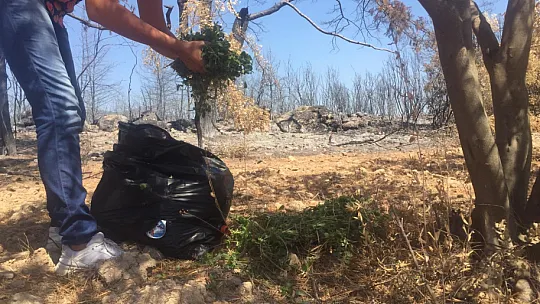 Hayvan Kurtarma Ekibi geride kalmış canlara el uzatıyor