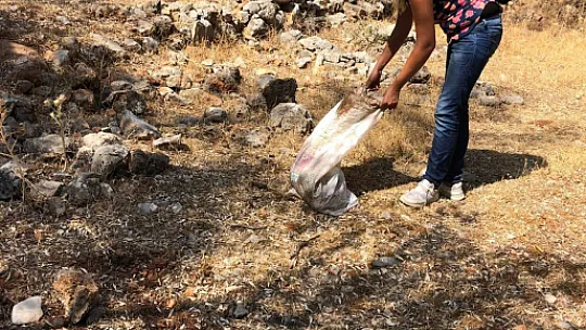 Hayvan Kurtarma Ekibi geride kalmış canlara el uzatıyor
