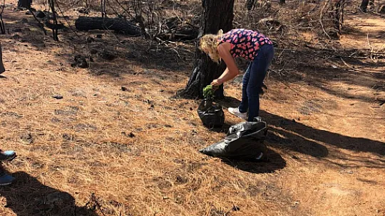 Hayvan Kurtarma Ekibi geride kalmış canlara el uzatıyor