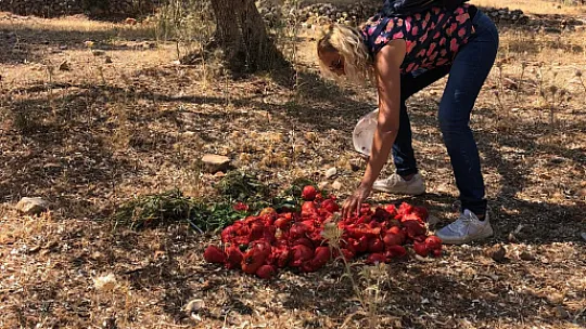Hayvan Kurtarma Ekibi geride kalmış canlara el uzatıyor
