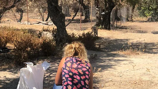 Hayvan Kurtarma Ekibi geride kalmış canlara el uzatıyor