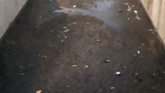 Marmaris lağım kokuyor!