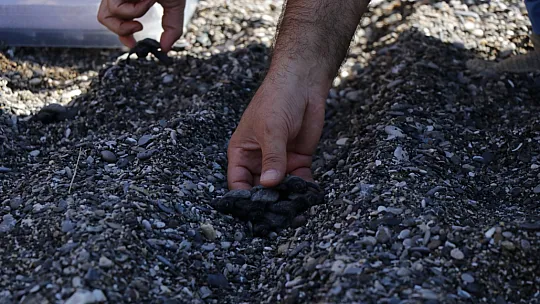 Uydu takip cihazı takılan 2 Caretta Caretta denize bırakıldı