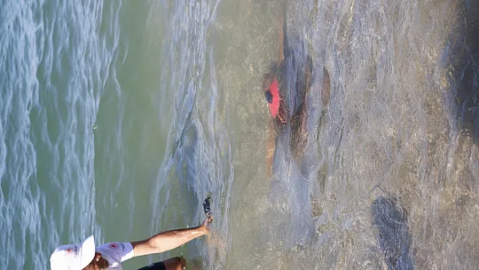 Uydu takip cihazı takılan 2 Caretta Caretta denize bırakıldı