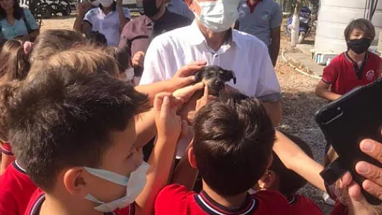 Hayvanları Koruma Gününde farkındalık için mama dağıttılar